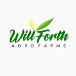 Will Forth Solutions (Ómùgwò) - @willforthagrofarms - Instagram