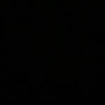 William - @will_fortin10 - Instagram