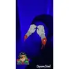 willfoy723 - @willfoy723 - TikTok