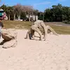 Will Franco - @will.franco5 - TikTok