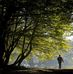 Will Fred - Facebook