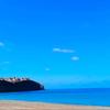 Will Frederickie - @will.frederickie - TikTok