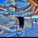 Will Fried - Facebook