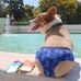 Will Frye - Facebook