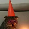 Will Frye - @i_am_bored_1001 - TikTok