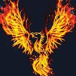 Will Fulmer - @will.fulmer.90 - Instagram