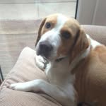 will - @will_fultz_24 - Instagram