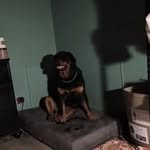 William Fuqua - @william.fuqua - Instagram