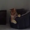 will_perrin - @will_perrin - TikTok