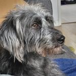 Darla Willow Garnett 🐾 - @darla_willow_garnett - Instagram