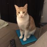 Will Garrard - @theonlythingsilivefor - Instagram