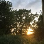 Will Garrard - @will.garrard - Instagram