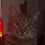 @will_garrity - Instagram