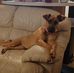 Will Garvin - Facebook