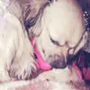 GaryWill - @garywill - TikTok