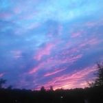 William Gaskill - @william.gaskill - Instagram