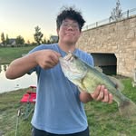 Will Gault - @gault.will - Instagram