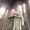 williamgault69 - @williamgault69 - TikTok