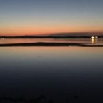 Will Geddes - @will.geddes1 - Instagram