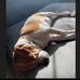 Will Geraghty - Facebook