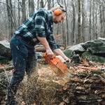 Will Gibbons - @wtgibbons - Instagram