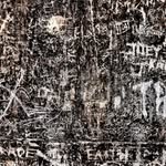 Will Taylor + Allison Gilbert Prints and Photographs - @thedeepsouthproject - Instagram