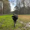 William Gilmore - @the_williamgilmo34 - TikTok
