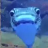 Will😌 - @will.glasss - TikTok