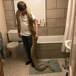 Will Glenn - @willglenn4594 - Instagram