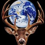 Will Glenn - @willglenn33 - Instagram