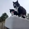 Will Glenn - @will.glenn76 - TikTok