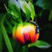 Will Goldberg - Facebook