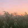 Will Goldberg - @zpzkjxfnr8i - TikTok