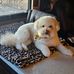 Willy Goldberg - Facebook