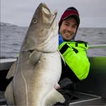William Goldsmith - @willygoldfish - Instagram