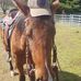 Will Golby - Facebook