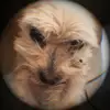 Will Gomez - @will.gomez919 - TikTok