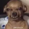 will Gomez - @willjgomez504 - TikTok