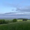 will_gomez - @will_gomezzz - TikTok
