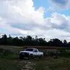 will_mfn_gooch - @will_mfn_gooch - TikTok