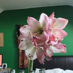 Will Goodman - @willgoodman64 - Instagram