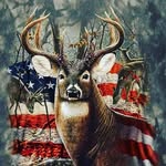 Willy Goodspeed - @lollipop_kid802 - Instagram