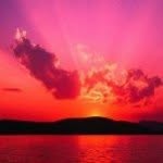 Will Gorham - @heydashman - Instagram