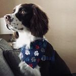 Will Graves - @wgraves123 - Instagram