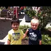 will_gustafson - @will_gustafson - TikTok