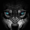 Will Gutierrez - @will.gutierrez4 - TikTok