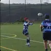 will haines - @will.haines4 - TikTok