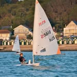 Will Haines | Sailing | 215613 - @willhainessailing - Instagram