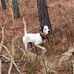 Will Hall - Facebook