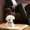 William Handley - @william.handley.w - TikTok